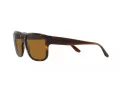 Emporio Armani Zonnebril EA 4197 587983
