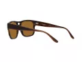 Emporio Armani Zonnebril EA 4197 587983