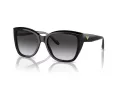 Emporio Armani Zonnebril EA 0EA4198 50178G