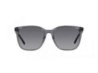 Emporio Armani Zonnebril EA 4206D 5029T3