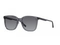 Emporio Armani Zonnebril EA 4206D 5029T3