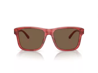 Emporio Armani Zonnebril EA 4208 605373