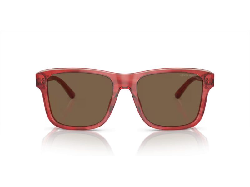 Emporio Armani Zonnebril EA 4208 605373