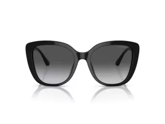 Emporio Armani Zonnebril EA 4214U 50178G