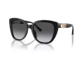 Emporio Armani Zonnebril EA 4214U 50178G