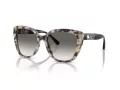 Emporio Armani Zonnebril EA 4214U 605811