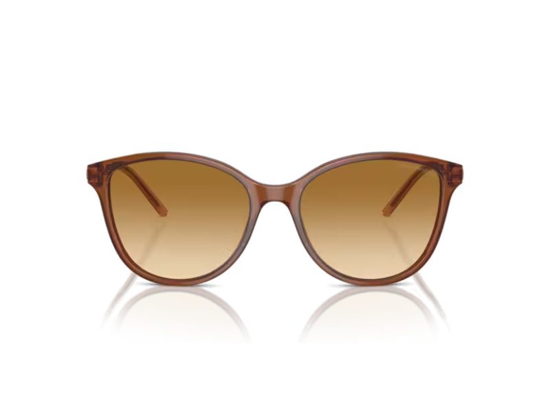 Emporio Armani Zonnebril EA 4220 61103B