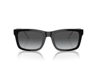 Emporio Armani Zonnebril EA 4224 5017T3