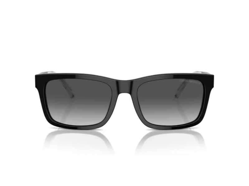 Emporio Armani Zonnebril EA 4224 5017T3