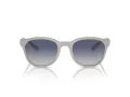 Emporio Armani Zonnebril EA 4225U 610087