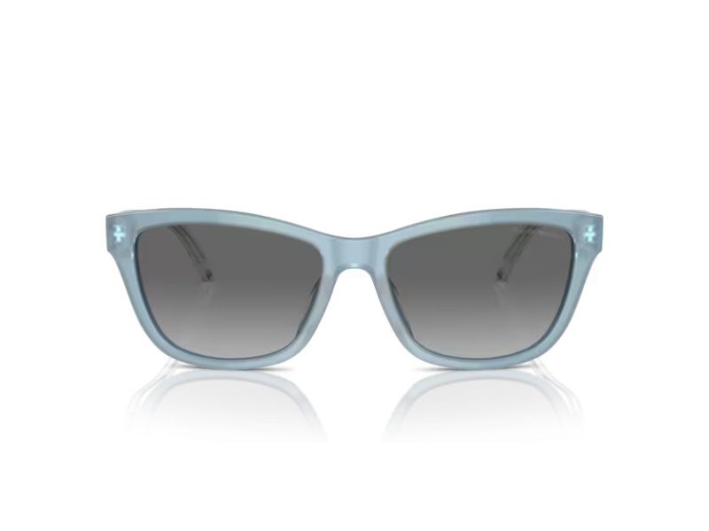 Emporio Armani Zonnebril EA 4227U 609611