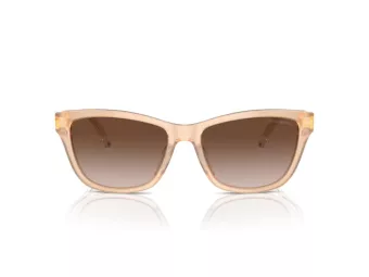 Emporio Armani Zonnebril EA 4227U 609813