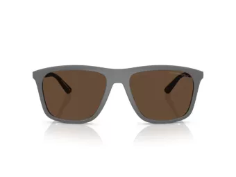 Emporio Armani Zonnebril EA 4237 620573