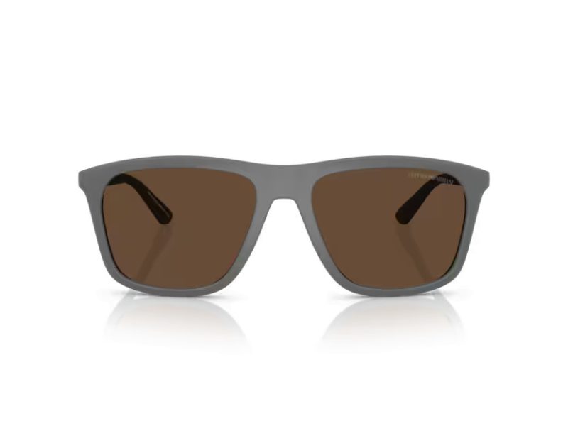 Emporio Armani Zonnebril EA 4237 620573