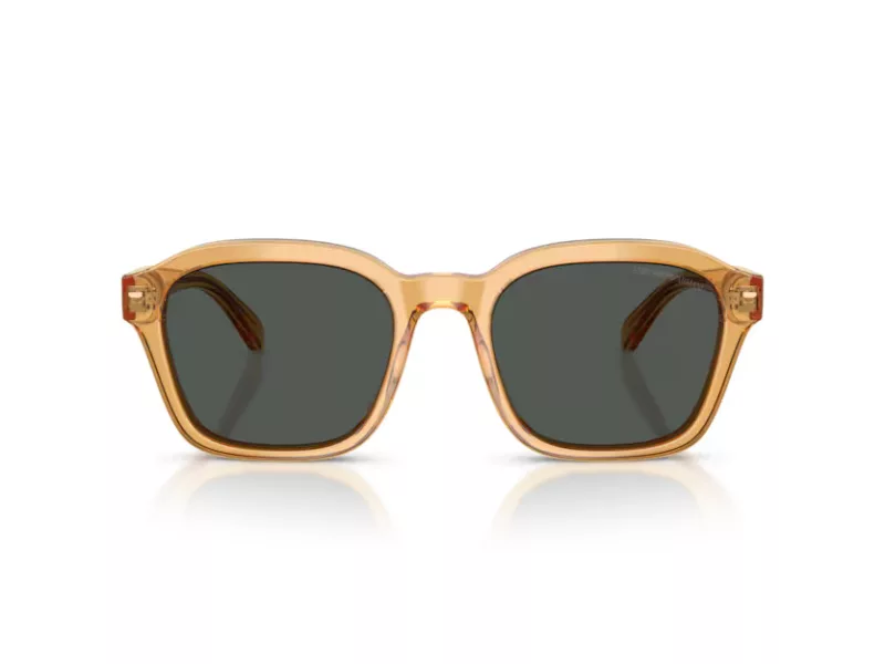 Emporio Armani Zonnebril EA 4245U 624687