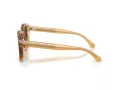 Emporio Armani Zonnebril EA 4245U 624687