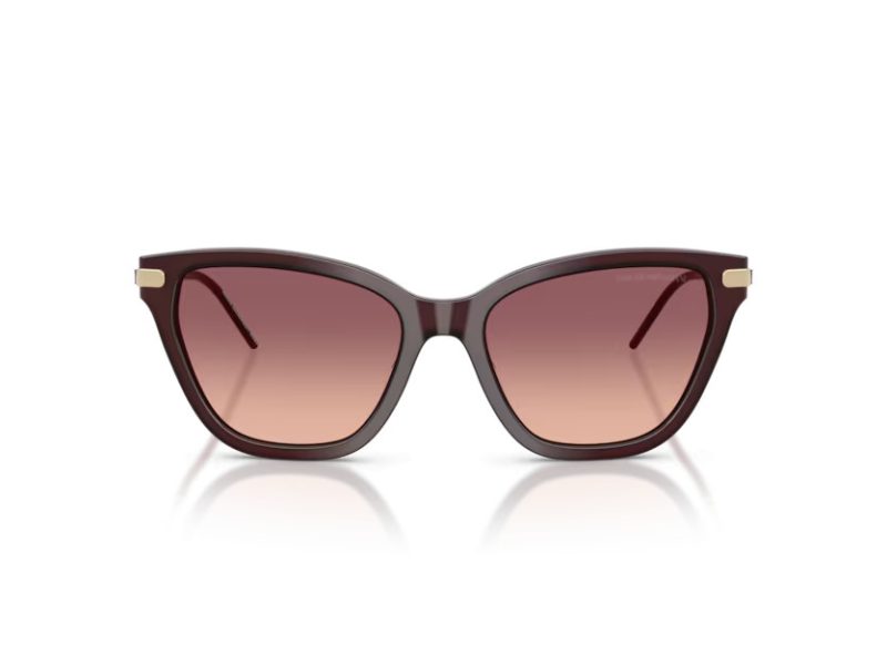 Emporio Armani Zonnebril EA 4251 62658D