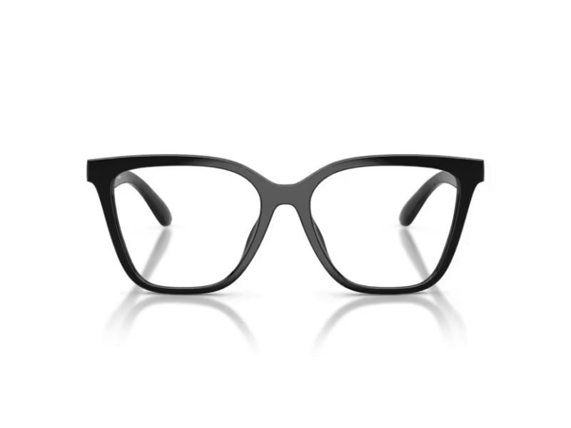 Emporio Armani Zonnebril EA 4254U 50171W