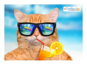 Schoonmaakdoekje voor brillen