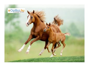 Schoonmaakdoekje voor brillen