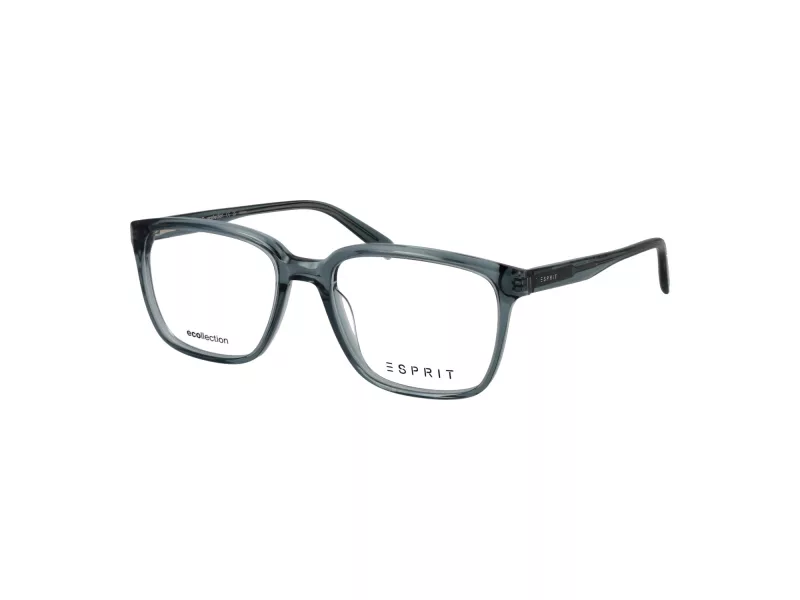 Esprit Brillen ET 33494 508