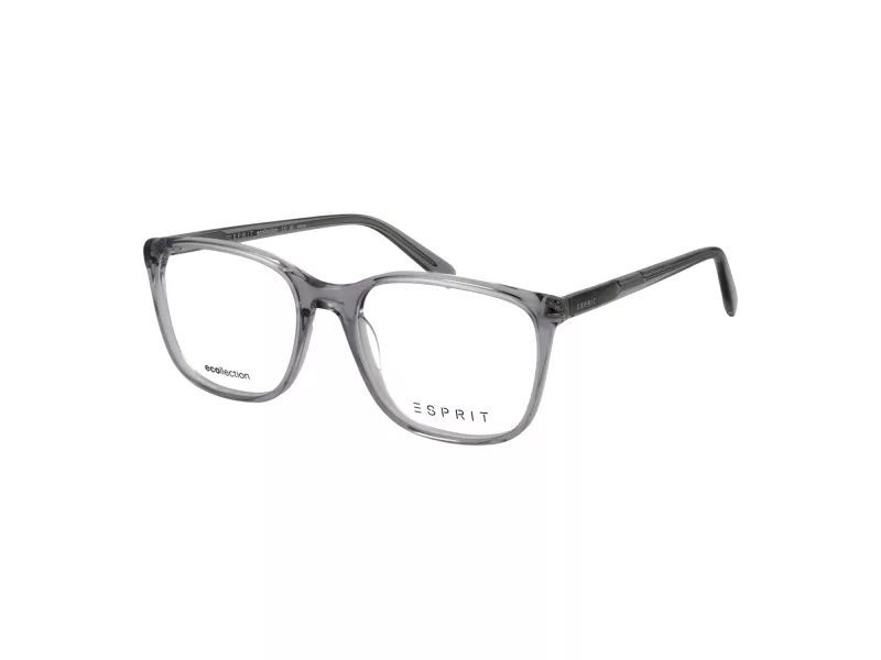 Esprit Brillen ET 33509 505