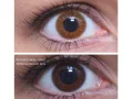 ColourVUE Enkele laag Bruin (2 lenzen)