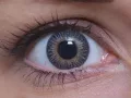 ColourVUE Kleurenmagie drielagig Grijs (2 lenzen)