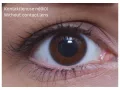 ColourVUE Oversized (doll) - Cool Blauw (2 lenzen)