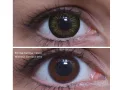 ColourVUE Oversized (doll) - Tropisch groen (2 lenzen)
