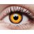 ColourVUE Crazy One-Day Orange Werewolf (2 lenzen)