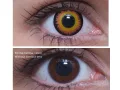 ColourVUE Crazy Oranje Bloederige Staart (2 lenzen) - zonder dioptrie