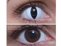 ColourVUE Crazy Vipera (2 lenzen) - zonder dioptrie