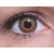 ColourVUE Glamour Bruin (2 lenzen)