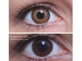 ColourVUE Glamour Bruin (2 lenzen)