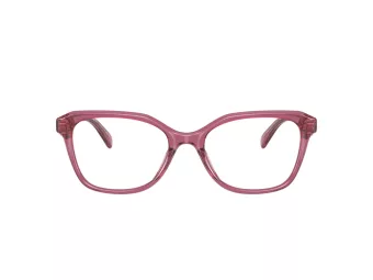 Coach Cy043 Brillen HC 6244U 5824