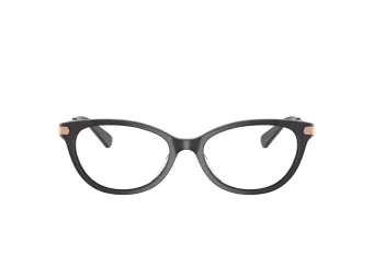 Coach Brillen HC 6245U 5104