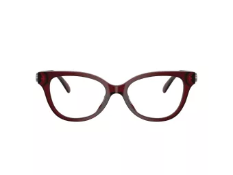 Coach Brillen HC 6247U 5393