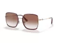 Coach C8000 Zonnebril HC 7139BD 94028D