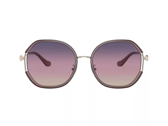 Coach Cd452 Zonnebril HC 7144BD 9413U6