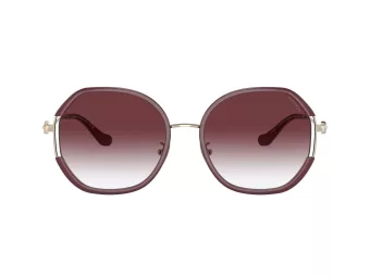 Coach Cd452 Zonnebril HC 7144BD 94158H