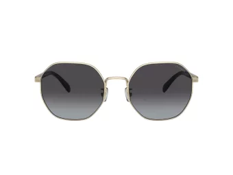 Coach Ch556 Zonnebril HC 7147 90058G