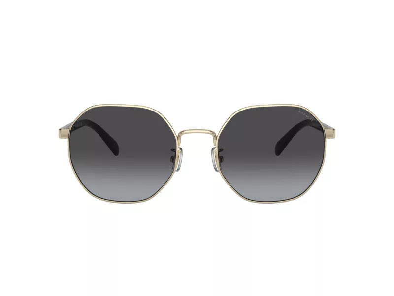 Coach Ch556 Zonnebril HC 7147 90058G