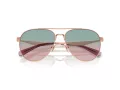 Coach Cw193 Zonnebril HC 7169 93310Q