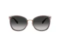 Coach Cw185 Zonnebril HC 7170 94543C
