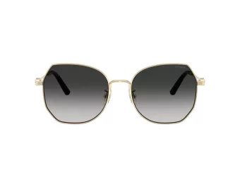 Coach Cad79 Zonnebril HC 7175 90053C