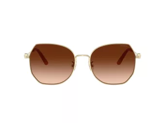 Coach Cad79 Zonnebril HC 7175 900574