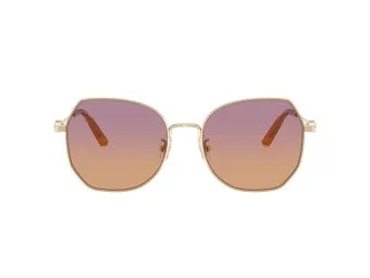 Coach Cad79 Zonnebril HC 7175 900578