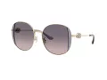 Coach Cad73 Zonnebril HC 7176B 900536