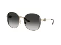 Coach Cad73 Zonnebril HC 7176B 90053C